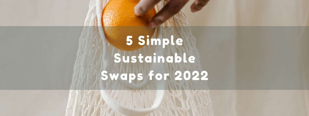 5 Simple Sustainable Swaps for 2022 - Acorn & Pip