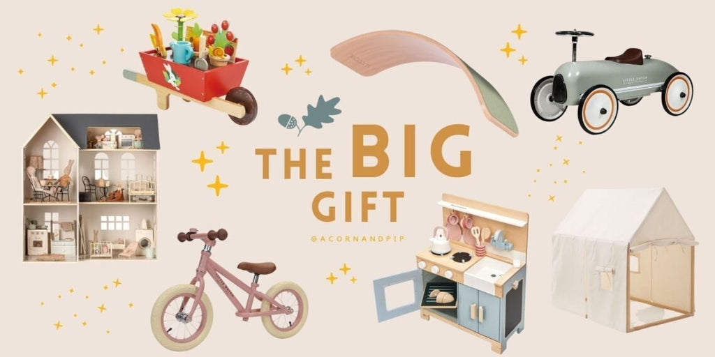 Gift Guide: The Big Gift! - Acorn & Pip