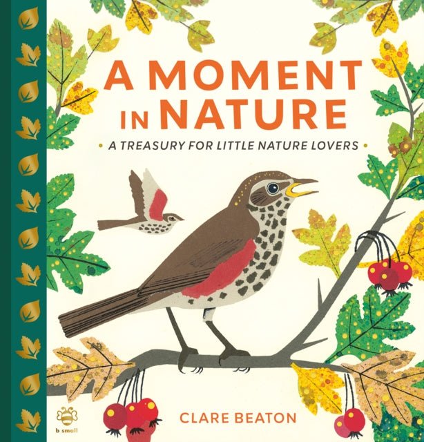 A Moment in Nature: A Treasury for Little Nature Lovers (Hardback) - Acorn & Pip_Bookspeed