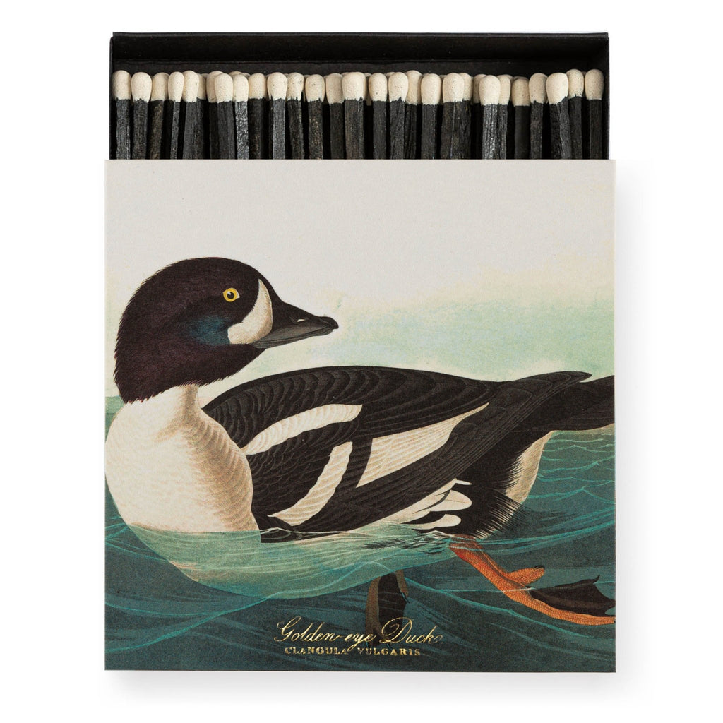Archivist: Square Matchbox - The Golden - eye Duck by Audubon - Acorn & Pip_Archivist