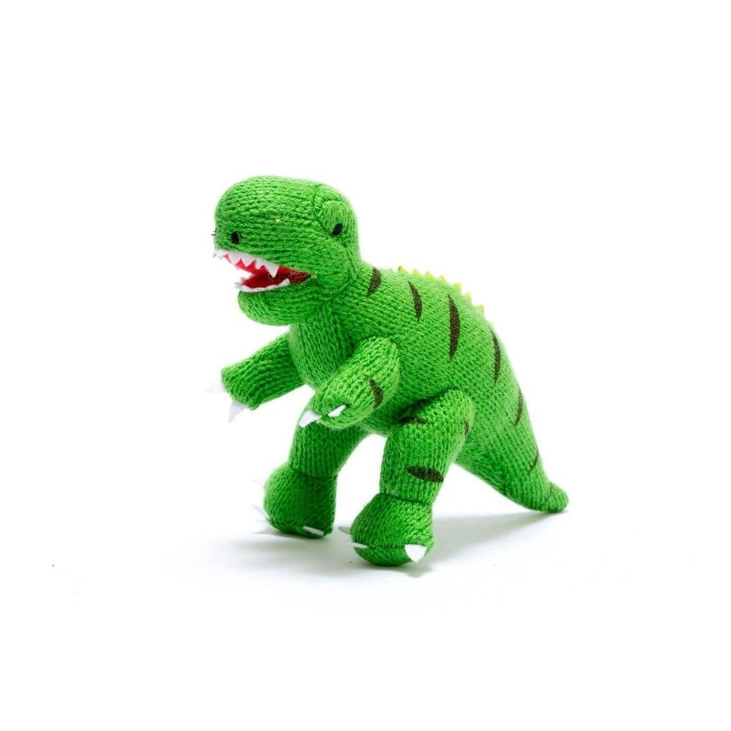 Best Years: Knitted Green T - Rex Rattle - Acorn & Pip_Best Years