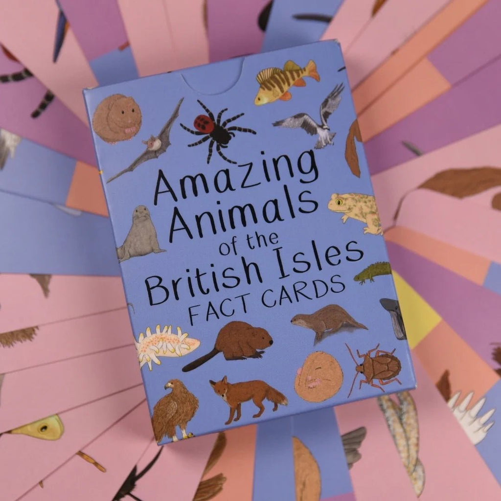 Button and Squirt: Amazing Animals of the British Isles Fact Cards - Acorn & Pip_Button and Squirt