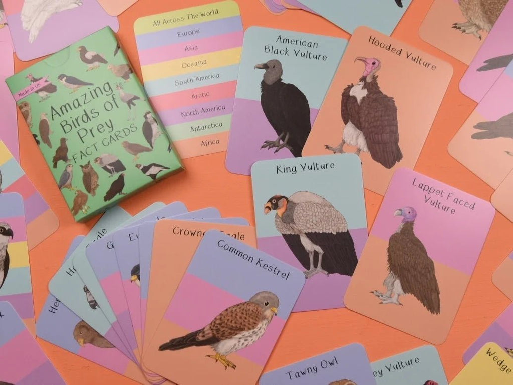 Button and Squirt: Amazing Birds of Prey Fact Cards - Acorn & Pip_Button and Squirt