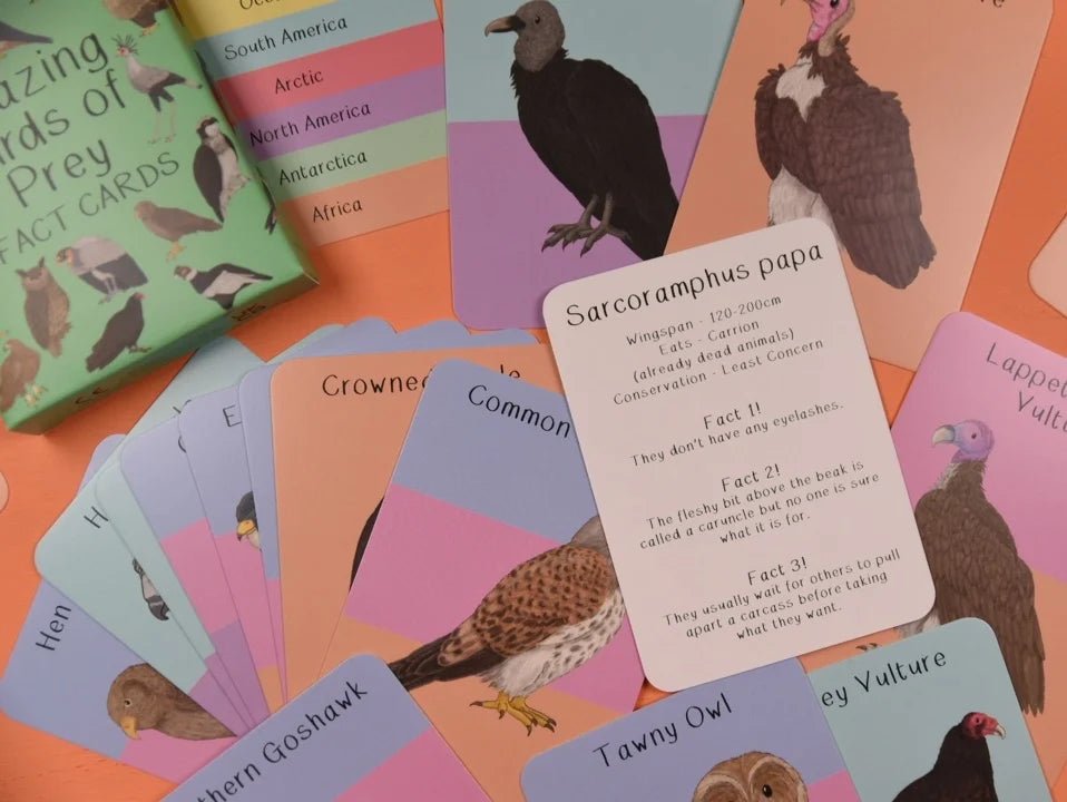 Button and Squirt: Amazing Birds of Prey Fact Cards - Acorn & Pip_Button and Squirt