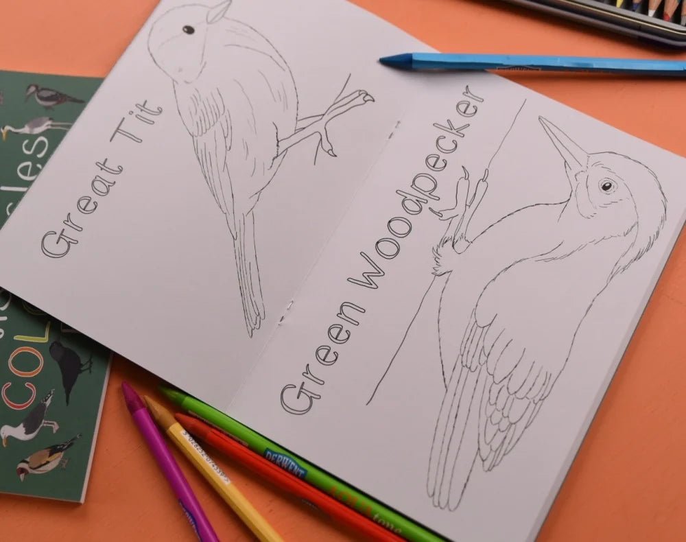 Button and Squirt: Amazing Birds of the British Isles Colouring Book - Acorn & Pip_Button and Squirt