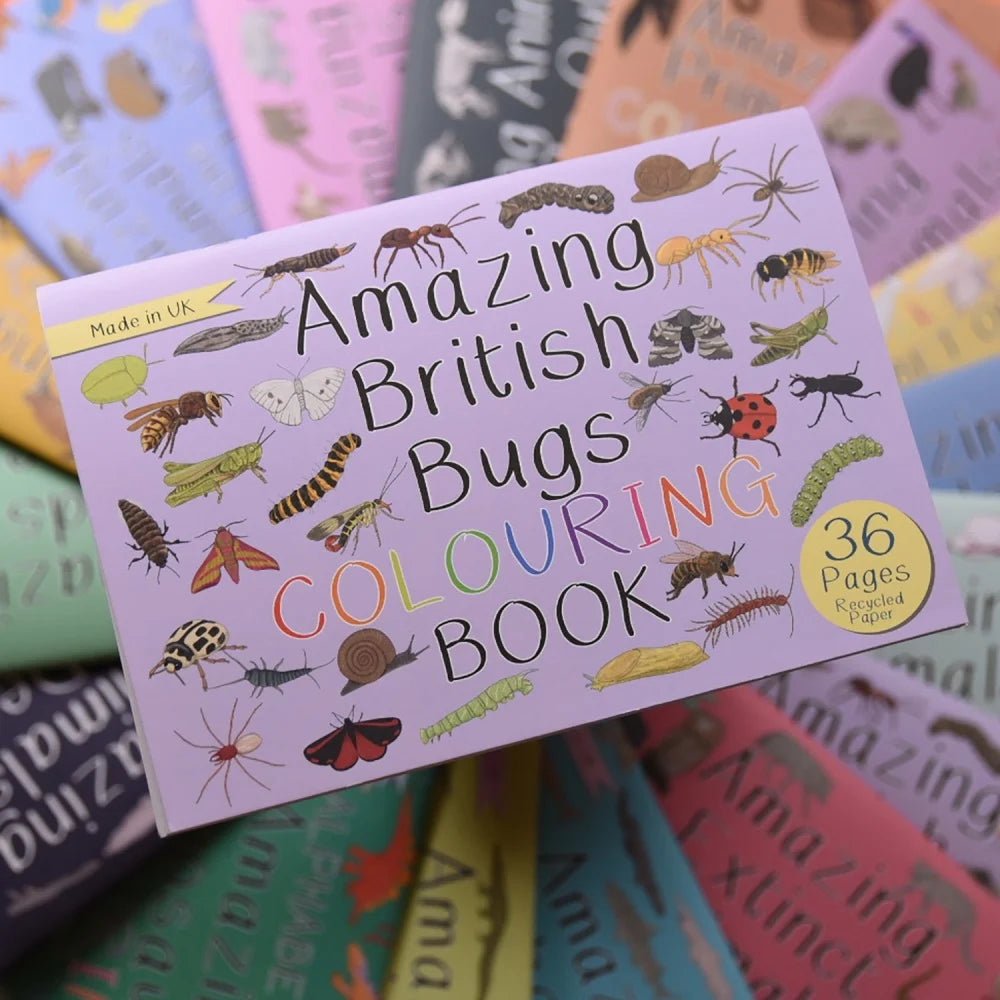 Button and Squirt: Amazing British Bugs Colouring Book - Acorn & Pip_Button and Squirt