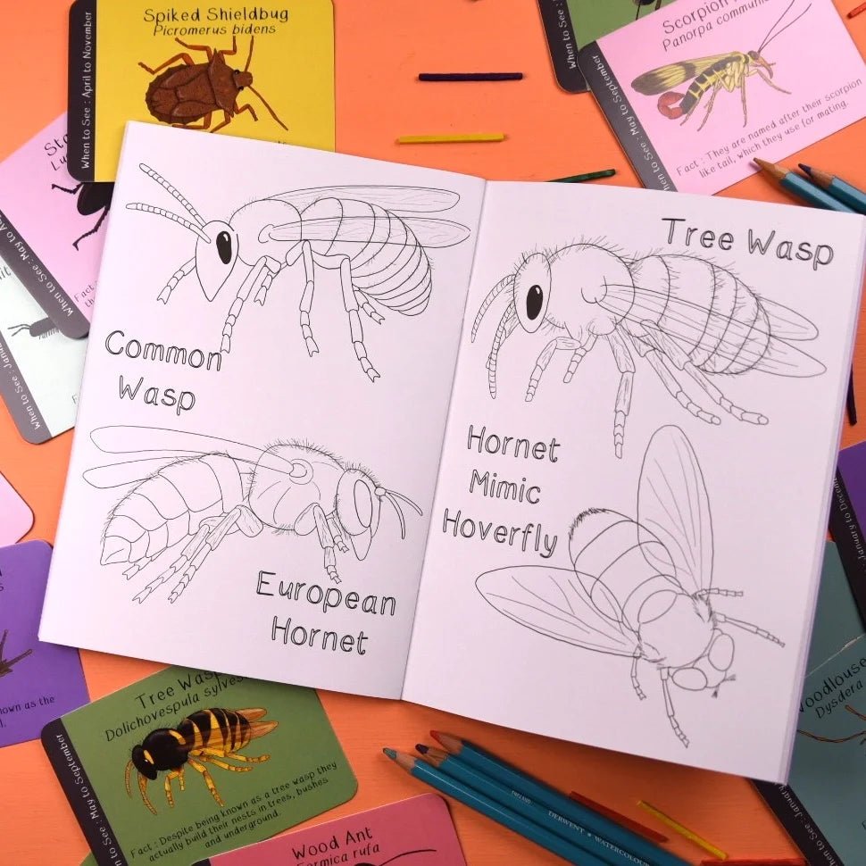 Button and Squirt: Amazing British Bugs Colouring Book - Acorn & Pip_Button and Squirt
