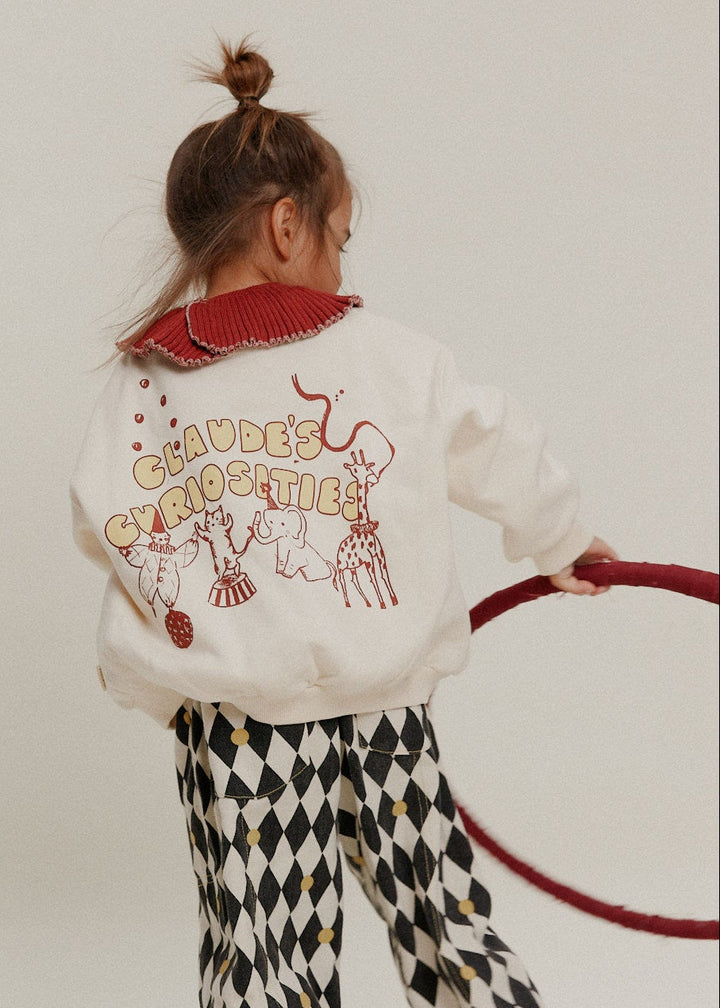 Claude's Curiosities sweater back print