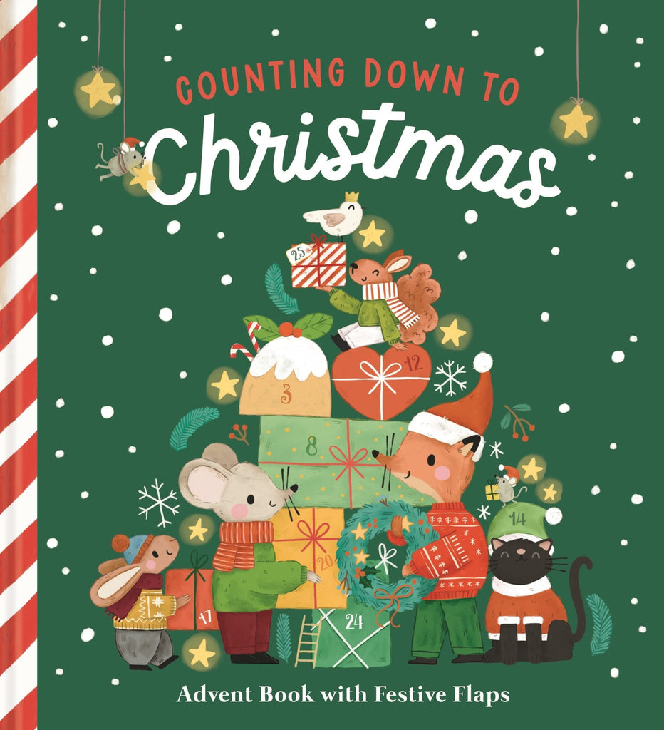 Counting Down To Christmas: Advent Book - Life The Flap - Acorn & Pip_Bookspeed