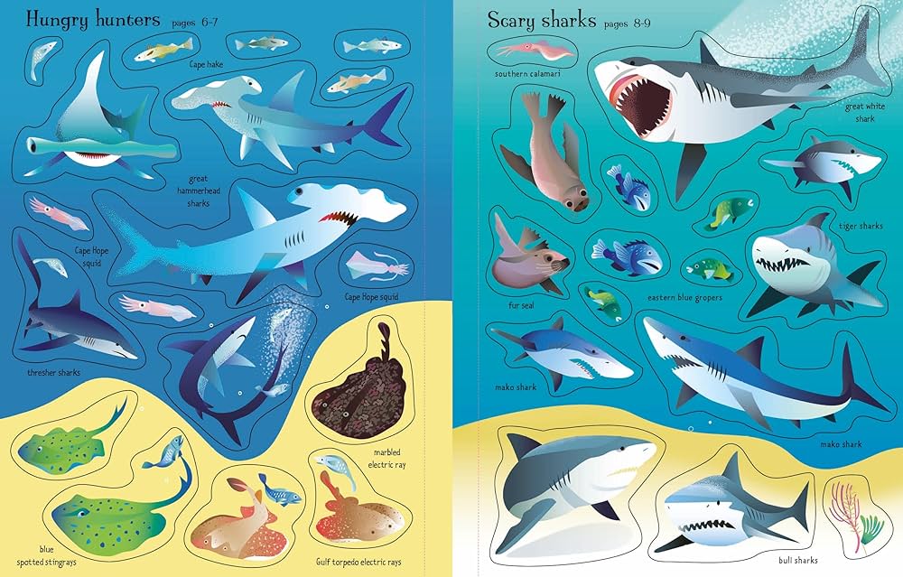 First Sticker Book: Sharks & Rays (Paperback) - Acorn & Pip_Bookspeed