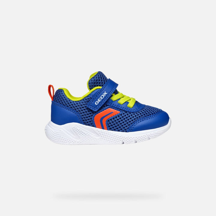 Geox: Sprintye Velcro Trainers - Royal / Red - Acorn & Pip_Geox