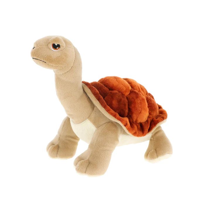 Keel: Keeleco Tortoise - 25cm - Acorn & Pip_Keel Toys