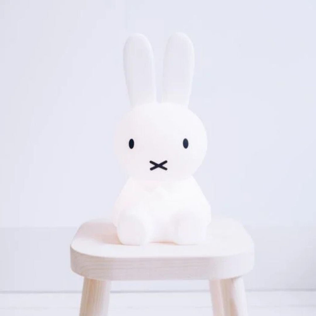 Mr Maria: Miffy First Light - Acorn & Pip_Mr Maria