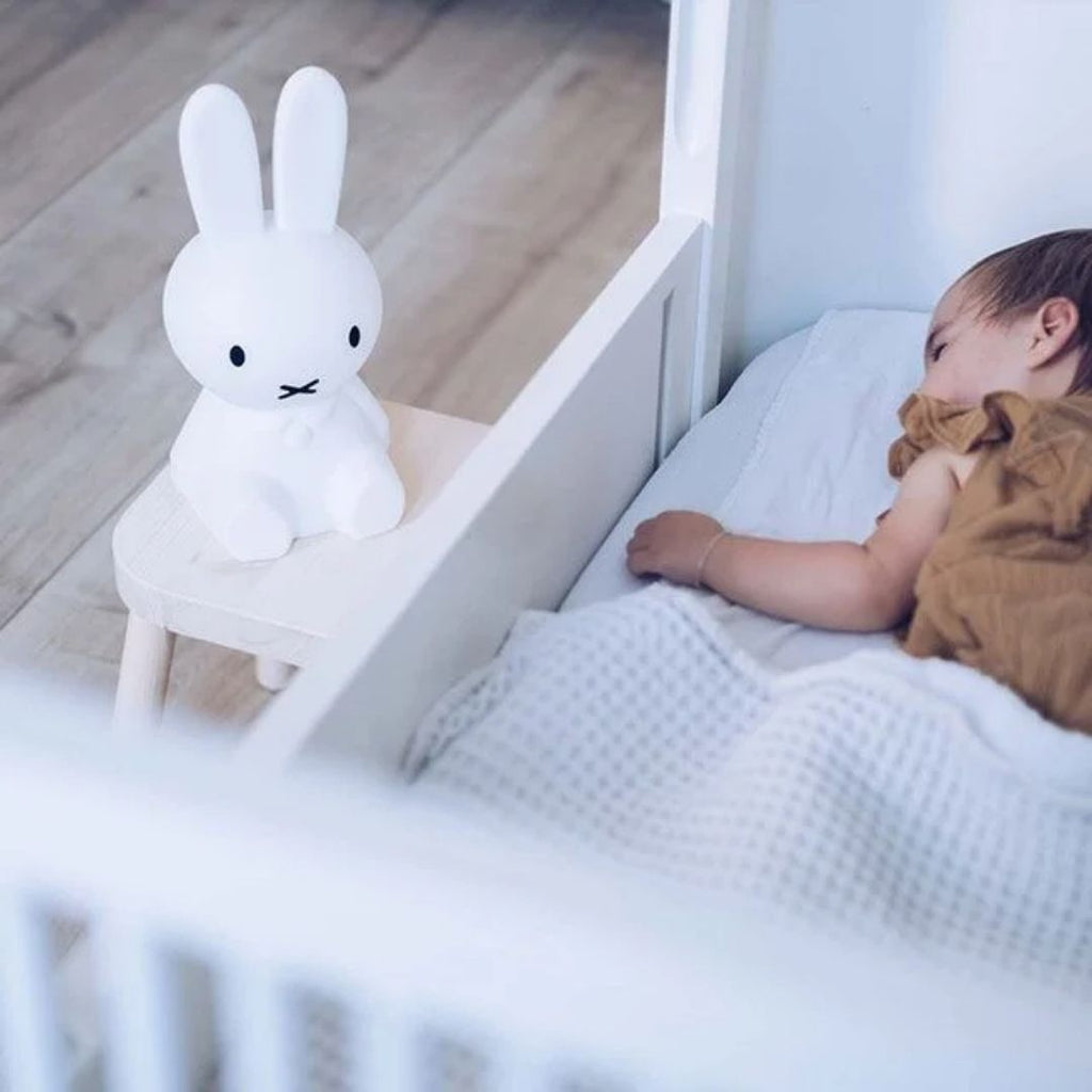 Mr Maria: Miffy First Light - Acorn & Pip_Mr Maria