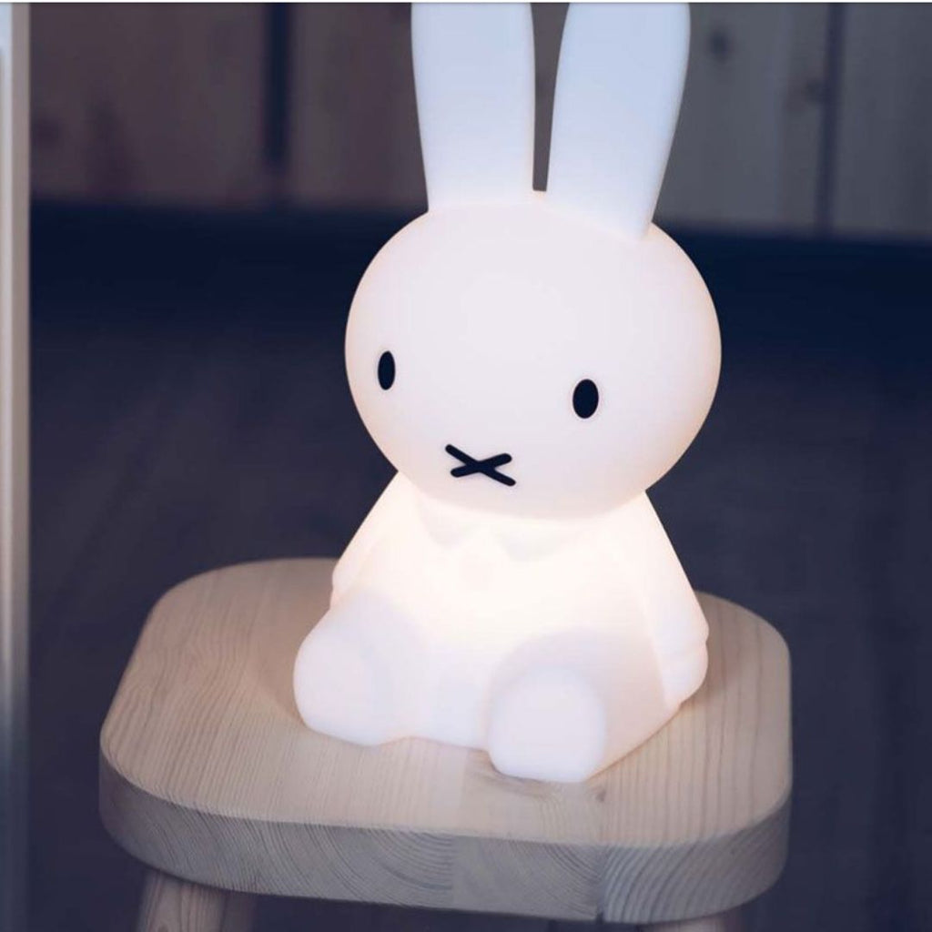 Mr Maria: Miffy First Light - Acorn & Pip_Mr Maria