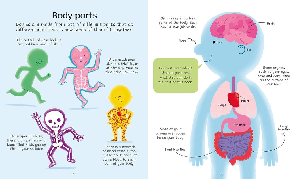 Usborne: Book & Jigsaw - Human Body - Acorn & Pip_Bookspeed