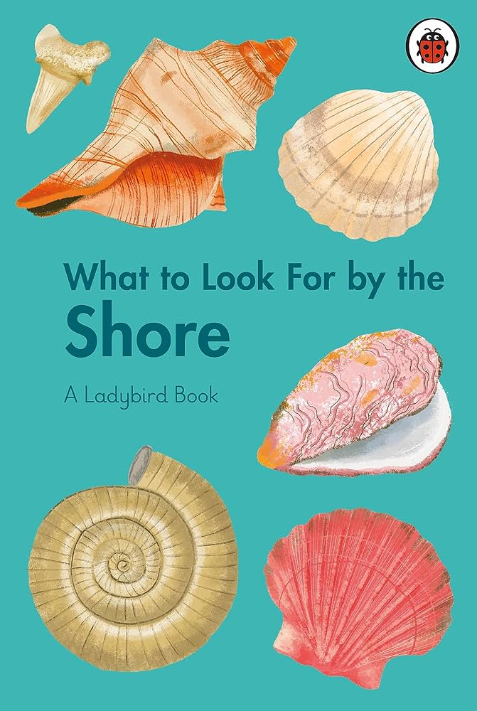 What To Look For By The Shore: A Ladybird Book (Hardback) - Acorn & Pip_Bookspeed