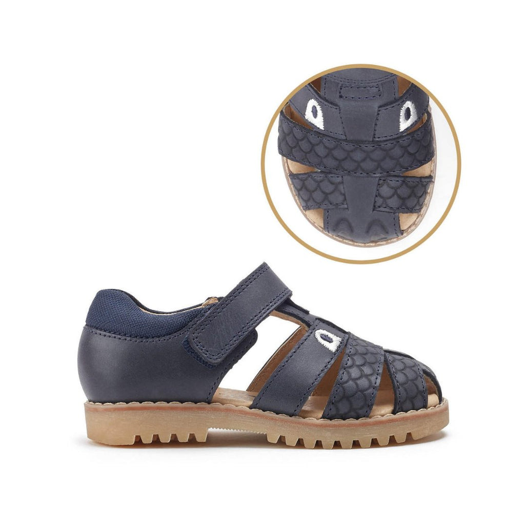 StartRite: Dino Park Sandals - Navy Leather - Acorn & Pip_Start Rite